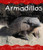Armadillos (Desert Animals)