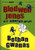 Blodwen Jones A'r Aderyn Prin (Nofelau Nawr) (Welsh Edition)