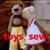 Toys to Sew: Dozens of Patterns for Dolls, Animals, Doll Clothes, and Accessories