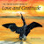 The Heron Dance Book of Love and Gratitude