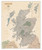 Scotland Executive [Tubed] (National Geographic Reference Map)