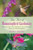 The Art of Hummingbird Gardening: How to Make Your Backyard into a Beautiful Home for Hummingbirds