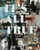 Bruce Conner: It's All True