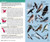 Birds of North America (Kaufman Focus Guides)