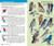 Birds of North America (Kaufman Focus Guides)