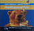 SCOTT FORESMAN ADDISON-WESLEY MATH 2004 ELECTRONIC TEACHER EDITION      CD-ROM GRADE 2