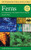 Peterson Field Guide to Ferns: Northeastern and Central North America, 2nd Edition