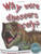 Dinosaurs: Why Were Dinosaurs Scaly? (First Questions And Answers) (First Q&A)
