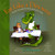 Eat Like a Dinosaur: Recipe & Guidebook for Gluten-free Kids