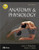 Anatomy & Physiology, 5e (Anatomy & Physiology (Thibodeau))