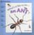 Whats It Like to Be... an Ant (Riverstream Science Reading, Level 1)