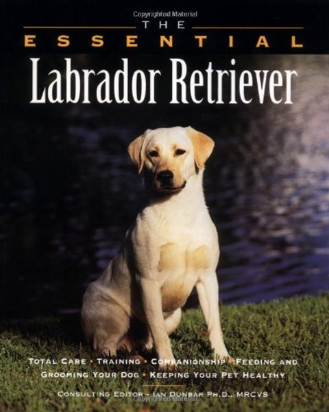 The Essential Labrador Retriever (The Essential Guides)
