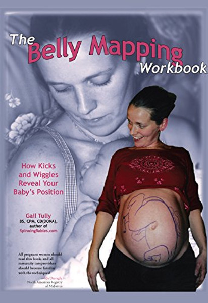 The Belly Mapping Workbook