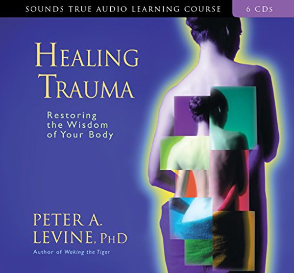 Healing Trauma (Sounds True Audio Learning Course)