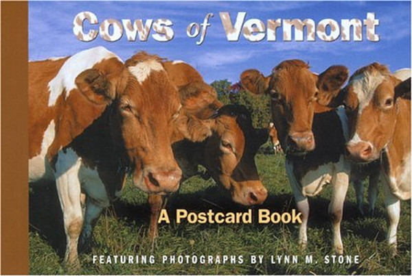 Cows of Vermont (Postcard Books)