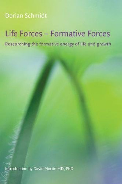 Life Forces - Formative Forces: Researching the Formative Energy of Life and Growth (Art and Science)