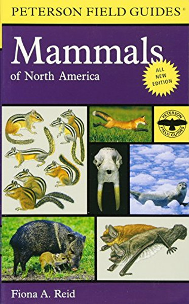Peterson Field Guide to Mammals of North America: Fourth Edition (Peterson Field Guides)