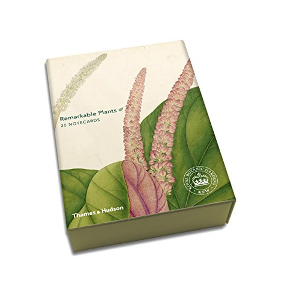 Remarkable Plants: Notecards: Box of 20 (Thames & Hudson Gift)