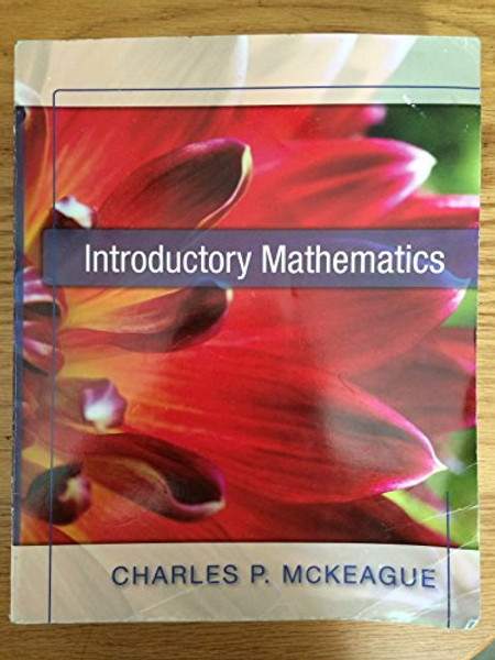 Introductory Mathematics [Paperback]