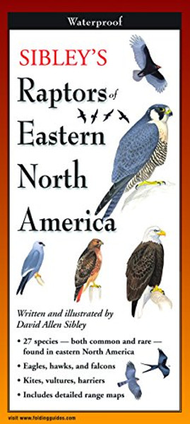 Sibley's Raptors of Eastern North America (Foldingguides)