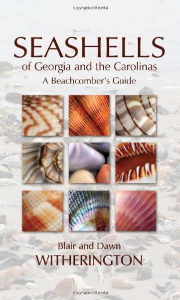 Seashells of Georgia and the Carolinas