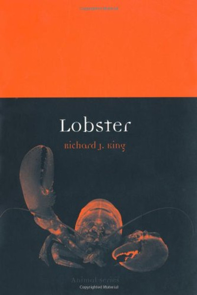 Lobster (Animal)