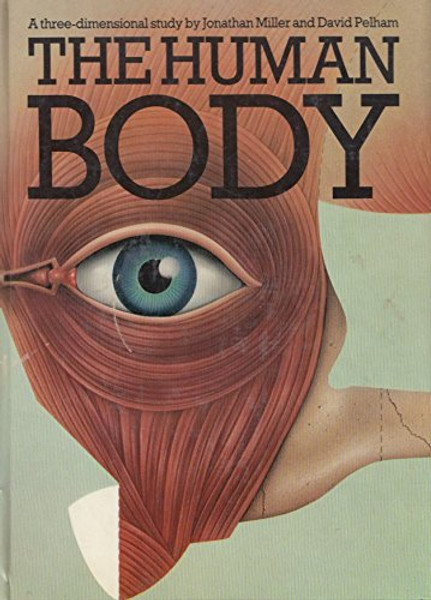 THE HUMAN BODY