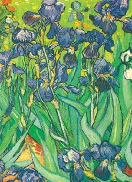 Van Gogh Notebook (Decorative Notebooks)