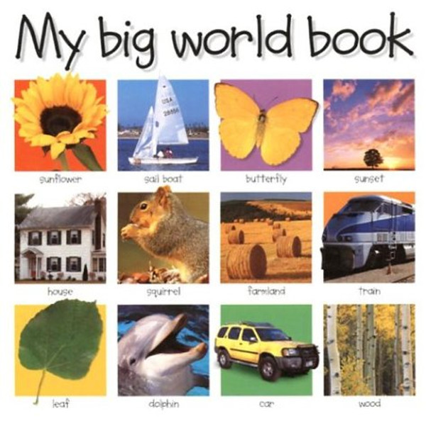 My Big World Book (My Big Board Books)