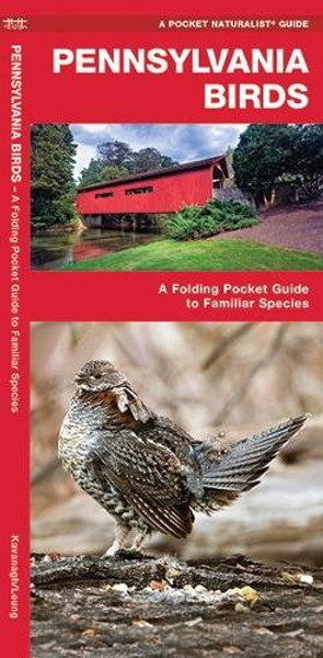 Pennsylvania Birds: A Folding Pocket Guide to Familiar Species (A Pocket Naturalist Guide)