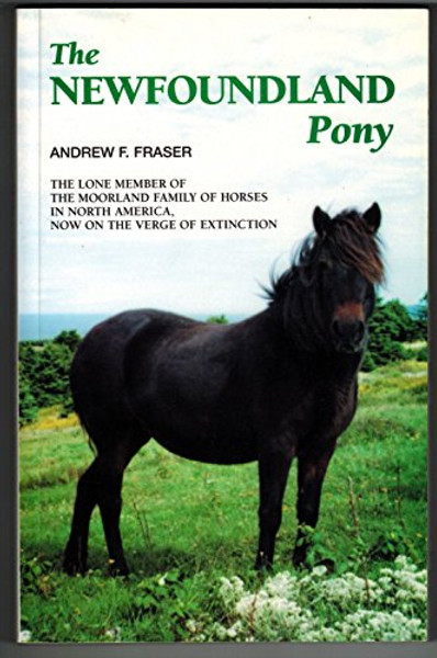 Newfoundland Pony