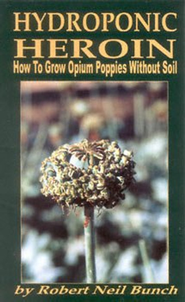 Hydroponic Heroin: How to Grow Opium Poppies Without Soil
