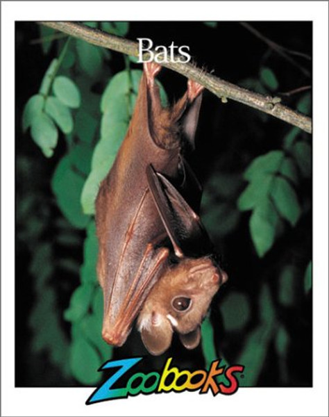 Bats (Zoobooks Series)