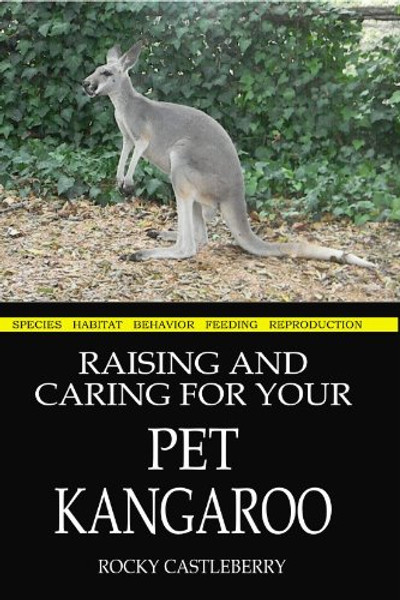 Raising And Caring For Your Pet Kangaroo