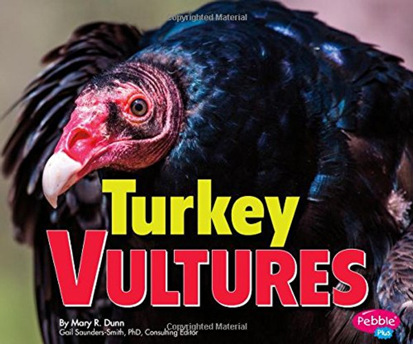 Turkey Vultures (Birds of Prey)