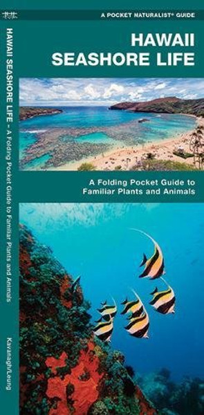Hawaii Seashore Life: An Introduction to Familiar Species (A Pocket Naturalist Guide)