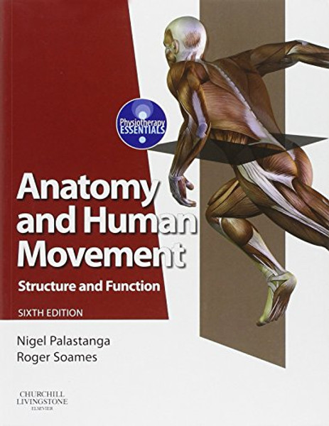 Anatomy and Human Movement: Structure and function, 6e (Physiotherapy Essentials)