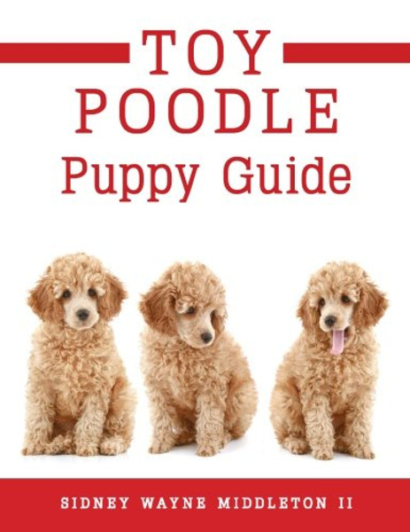 Toy Poodle Puppy Guide