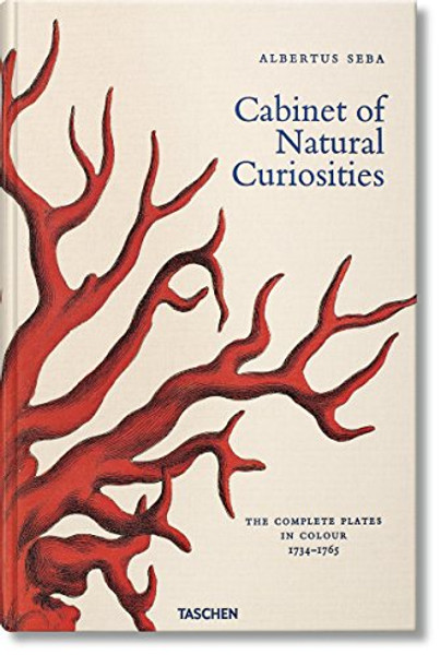 Albertus Seba's Cabinet of Natural Curiosities XL (Jumbo)