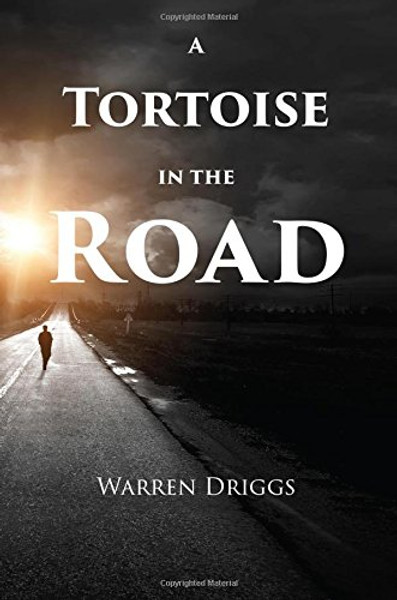 A Tortoise in the Road