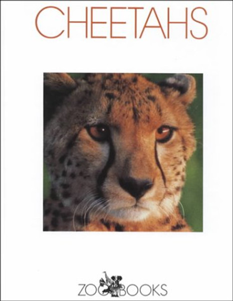 Cheetahs (Zoobooks)