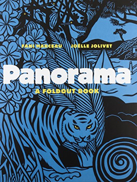Panorama: A Foldout Book