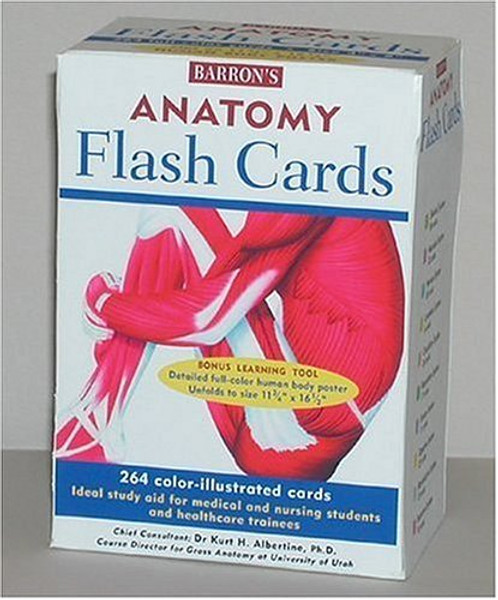 Barron's Anatomy Flash Cards