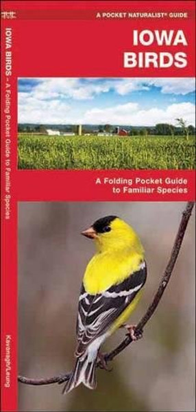 Iowa Birds: A Folding Pocket Guide to Familiar Species (A Pocket Naturalist Guide)