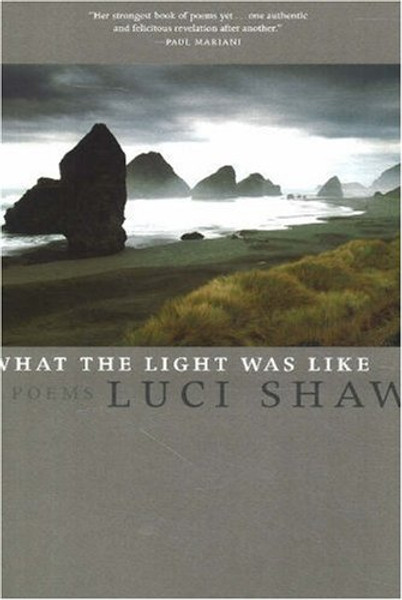 What the Light Was Like: Poems