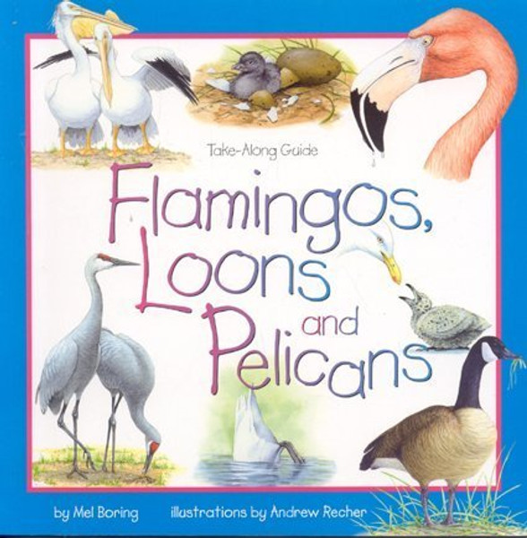 Flamingos, Loons & Pelicans (Take Along Guides)