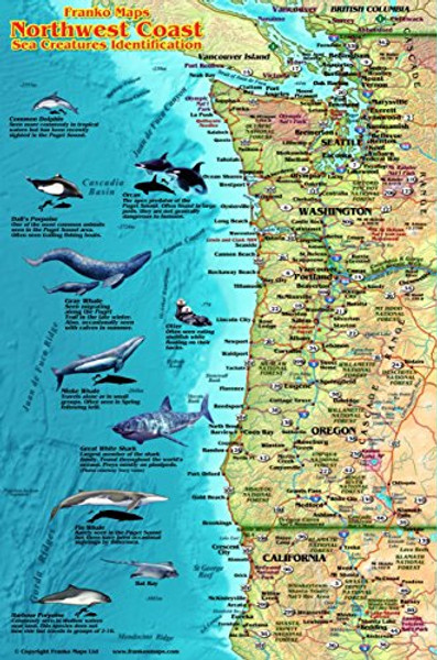 Pacific Northwest Coast Map & Sea Creatures Guide Franko Maps Laminated Fish Card