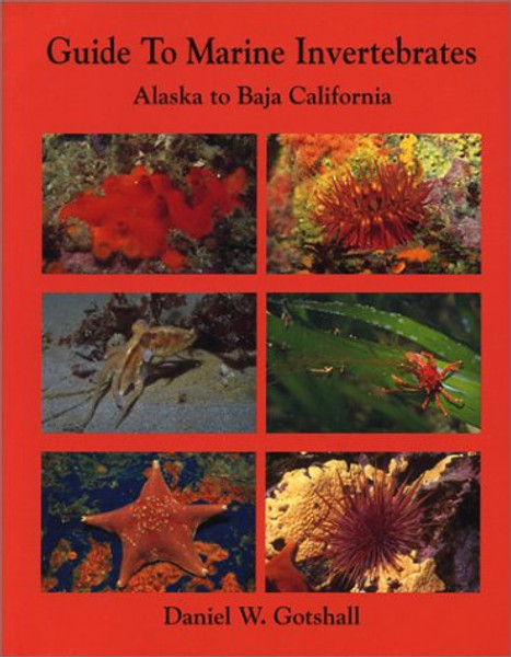 Guide to Marine Invertebrates: Alaska to Baja California