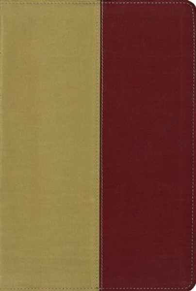 KJV, Amplified, Parallel Bible, Imitation Leather, Yellow/Red