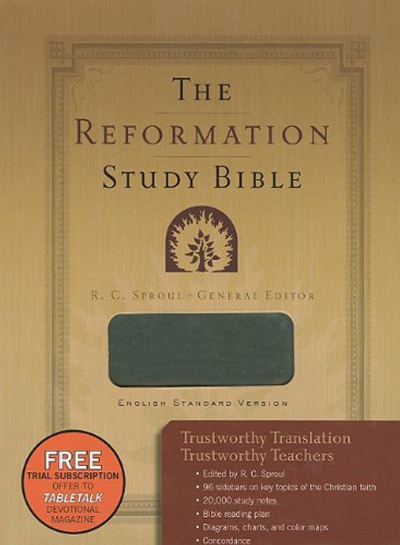 The Reformation Study Bible - Imitation Leather-Gray